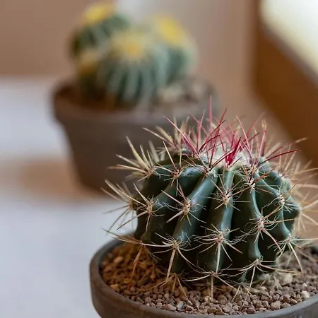 Srodmiescie Muranow With Parking By Renters * Warsaw